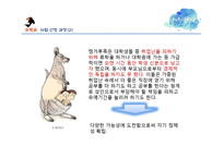 (창업계획서) 대학생 학업,취업 정보공유 어플리케이션 및 웹사이트 개발 창업 사업계획서-7