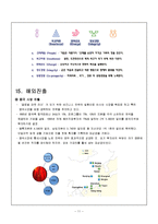 피존의 SWOT분석과 중국 시장 진출 성공 사례-11