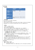 피존의 SWOT분석과 중국 시장 진출 성공 사례-13