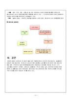 피존의 SWOT분석과 중국 시장 진출 성공 사례-14