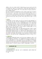 파생금융상품의 종류, 위험과 관리기법-3