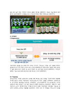[처음처럼 마케팅전략 레포트] 처음처럼 기업분석과 처음처럼 마케팅전략분석및 처음처럼 브랜드와 새로운 마케팅전략제안(참이슬과 비교분석)-6
