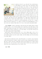 미세먼지 개념과 원인분석및 미세먼지에 대한 각종 대책방안분석 레포트-8