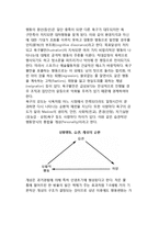 [경영의 행동과학적 관점] 경영의 관점 - 행동적 관점-4