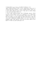 국제 시장세분화전략(국제 시장세분화의 의의와 접근방법)-4
