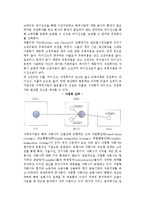 글로벌시장 진출방식의 변화와 유형-2