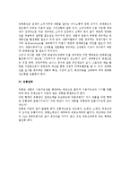 마케팅믹스(제품전략,가격전략,판매촉진전략,유통전략)-2
