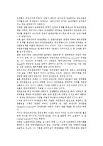 우리나라(한국)의 국제(국내) 관광정책 및 관광행정 현황-3