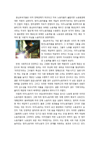 신자유주의와 이주 - 전 세계적인 양극화와 빈곤화가 불로온 강요된 이주, 이주노동력 관리정책의 현실, 한국의 이주노동의 역사와 현실 및 정책-5