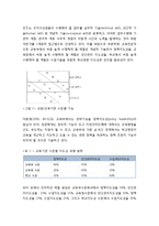 교육전문직의 역할 - 교육전문직의 개념, 교육전문직의 과업, 교육전문직의 개념적 역할-5