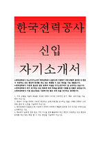 [한국전력공사자기소개서]한국전력공사자소서,한전이직면하고있는현안,문제를개선방안,한국전력공사,KEPCO에지원하기위하여준비한것,목표를성취한경험-1
