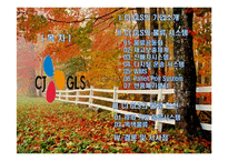 CJ GLS의 물류시스템과 물류혁신-2