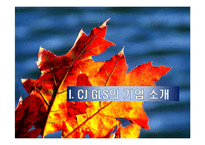 CJ GLS의 물류시스템과 물류혁신-3