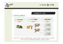CJ GLS의 물류시스템과 물류혁신-14