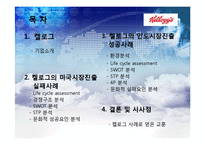 켈로그의 글로벌 경영 성공 및 실패사례-2