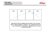 켈로그의 글로벌 경영 성공 및 실패사례-8