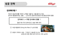 켈로그의 글로벌 경영 성공 및 실패사례-13
