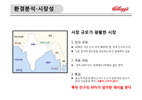켈로그의 글로벌 경영 성공 및 실패사례-15
