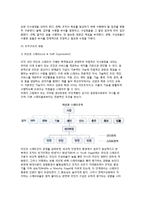(조직화) 조직화의 의의 및 과정, 조직구조의 유형-4