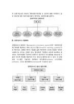 [경영정보시스템] 기업경영과 정보관리, 경영정보시스템(MIS)의 종류-4