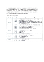 [관광상품개발사례] 외국(해외) 및 우리나라의 관광쇼핑상품 개발사례-6