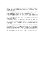 [관광정보업] 관광정보사업의 발전방안, 관광정보업의 전망-6