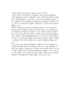[기업세계화단계모델] 동기 및 태도 기준 세계화모델-5