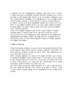 [미국경제의 과제] 미국경제의 문제(과제)-8