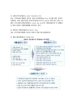 [임금관리] 임금관리의 목표와 중요성 및 구조, 임금인센티브, 공공정책과 보상-5