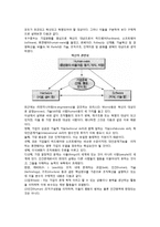 [조직혁신] 조직혁신의 의의와 대상 및 접근방법, 조직변화와 조직개발-3