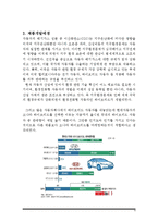 현대차 소나타 하이브리드 제품분석과 마케팅 SWOT,STP,4P전략분석 레포트-4