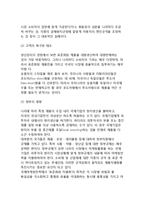 국제마케팅전략(글로벌마케팅전략)의 표준화와 차별화-5
