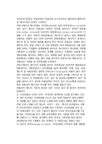 국제적 문화환경의 차이와 대응전략-3