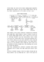 국제적 정치환경위험과 대응전략(정치적 위험의 평가 및 대응전략)-3