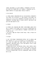 다국적기업(국제기업)의 해외자회사 경영자 보수전략 - 국제경영자의 보수정책과 조정-5