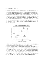 다국적기업과 글로벌마케팅 전략-2