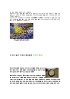 술의 역사와 기원-13