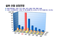 실버PC XX브랜드 광고 계획서-6