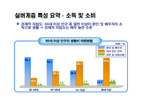 실버PC XX브랜드 광고 계획서-8
