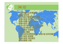 병행수입의 문제점과 개선방안-2