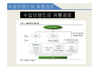 병행수입의 문제점과 개선방안-3