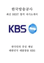한국방송공사 KBS PD 프로듀서 최신 BEST 합격 자기소개서!!!!-1
