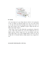 OCI 경영전략 사례연구맟 OCI 생산관리 전략분석 레포트-17
