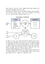 (여가행동) 여가행동의 메커니즘-8