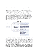 (재무관리) 재무관리의 의의와 개념-10