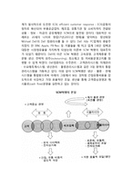 [경영의 신조류] 경영혁신의 과정모델, 리엔지니어링, 리스트럭처링, 벤치마킹, 공급사슬관리(SCM)-13