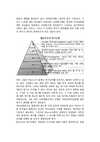 [동기부여] 동기부여이론 - 내용이론(매슬로우의 욕구단계이론, 허즈버그의 2요인이론)과 과정이론(기대이론, 공정성이론)-4