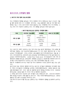 [동아시아의 지역협력 현황] 동아시아 역내 협력프로그램현황, 동아시아 지역내 협력의 현황-2