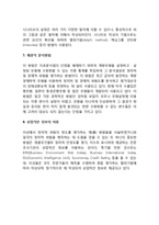[정치적 위험] 정치적위험의 평가방법-8
