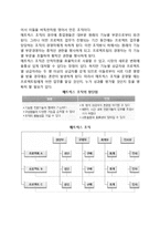 [조직구조] 조직구조의 원칙과 유형(형태)-7